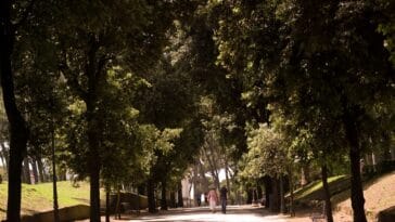 Parchi aperti a Roma
