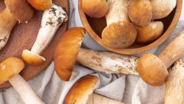 Eventi gastronomici ottobre a Roma