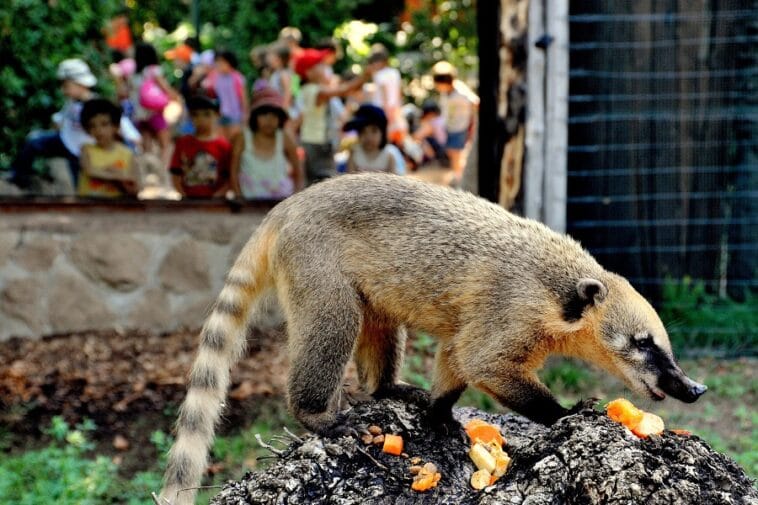 Bioparco di Roma