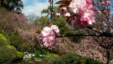 Orto Botanico Roma