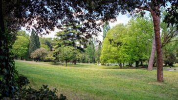 Trekking urbano Roma