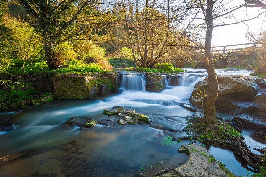 Luoghi freschi vicino Roma